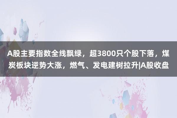 A股主要指数全线飘绿，超3800只个股下落，煤炭板块逆势大涨，燃气、发电建树拉升|A股收盘