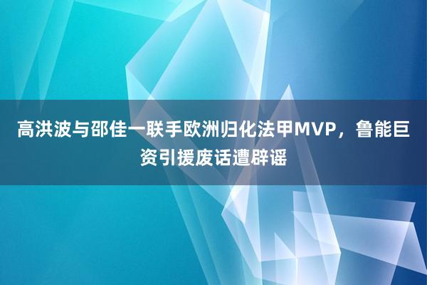 高洪波与邵佳一联手欧洲归化法甲MVP，鲁能巨资引援废话遭辟谣