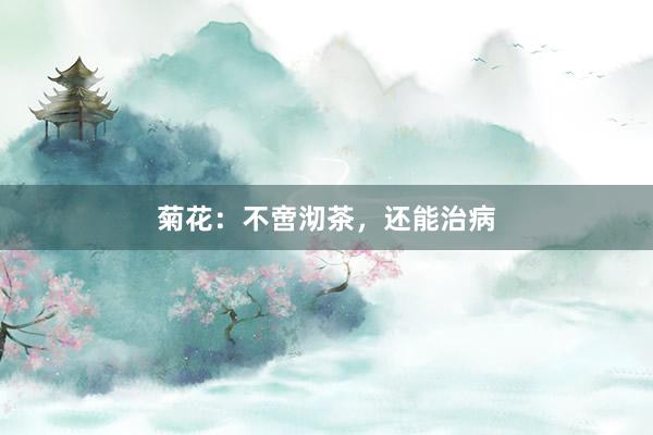 菊花：不啻沏茶，还能治病