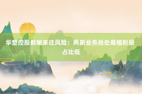 华塑控股教唆来往风险：两新业务尚处栽植阶段 占比低