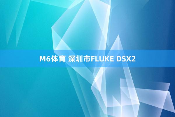 M6体育 深圳市FLUKE DSX2