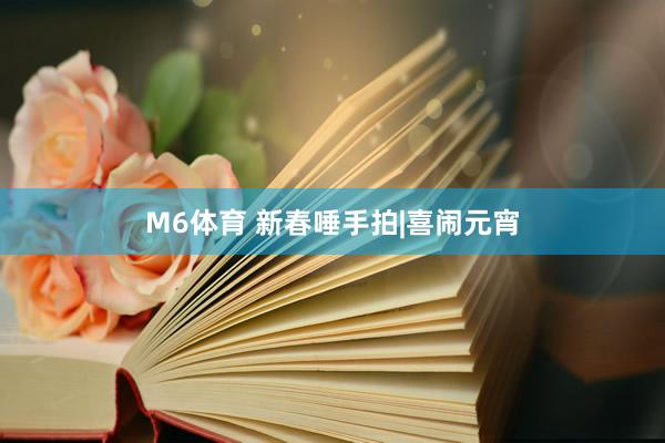 M6体育 新春唾手拍|喜闹元宵