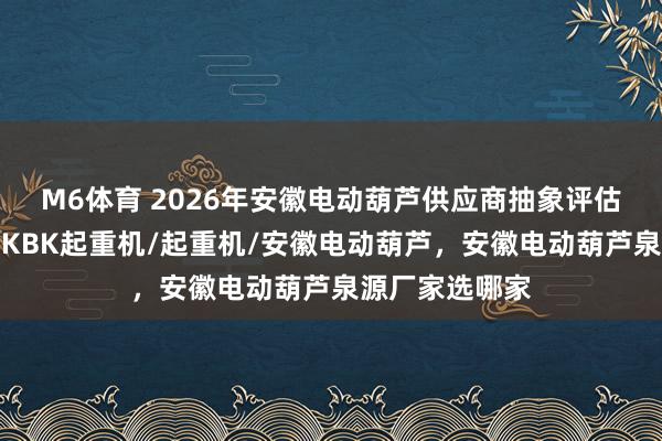 M6体育 2026年安徽电动葫芦供应商抽象评估与保举，刚性KBK起重机/起重机/安徽电动葫芦，安徽电动葫芦泉源厂家选哪家