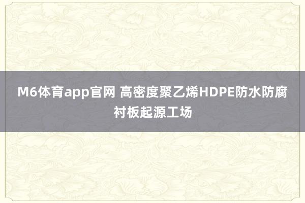 M6体育app官网 高密度聚乙烯HDPE防水防腐衬板起源工场