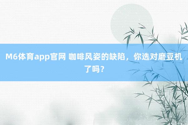 M6体育app官网 咖啡风姿的缺陷，你选对磨豆机了吗？