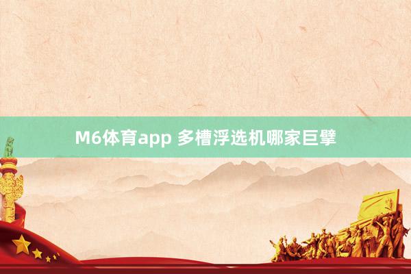 M6体育app 多槽浮选机哪家巨擘
