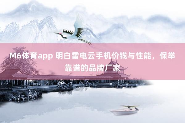 M6体育app 明白雷电云手机价钱与性能，保举靠谱的品牌厂家