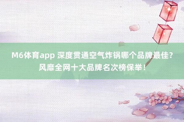 M6体育app 深度贯通空气炸锅哪个品牌最佳？风靡全网十大品牌名次榜保举！