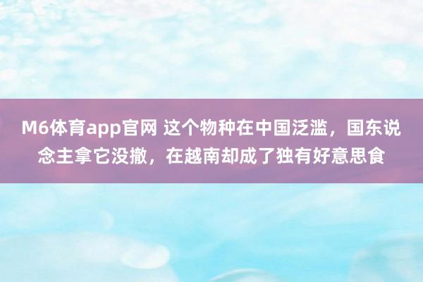 M6体育app官网 这个物种在中国泛滥，国东说念主拿它没撤，在越南却成了独有好意思食