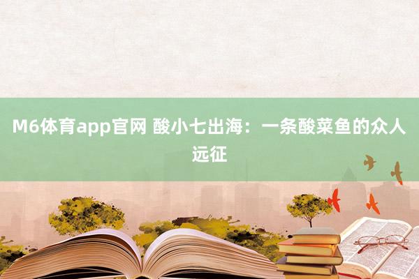 M6体育app官网 酸小七出海：一条酸菜鱼的众人远征