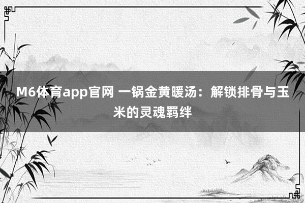 M6体育app官网 一锅金黄暖汤：解锁排骨与玉米的灵魂羁绊