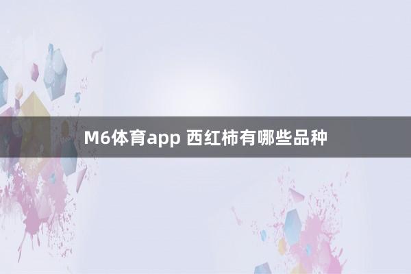 M6体育app 西红柿有哪些品种