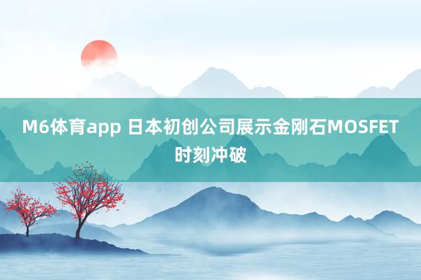 M6体育app 日本初创公司展示金刚石MOSFET时刻冲破