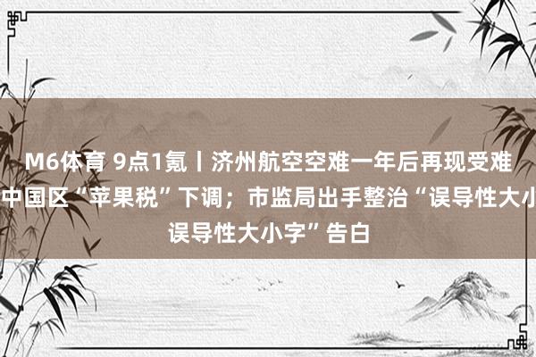 M6体育 9点1氪丨济州航空空难一年后再现受难者遗骸；中国区“苹果税”下调；市监局出手整治“误导性大小字”告白