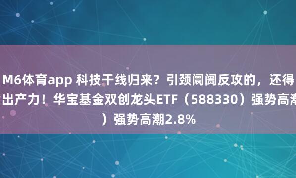 M6体育app 科技干线归来？引颈阛阓反攻的，还得是新质出产力！华宝基金双创龙头ETF（588330）强势高潮2.8%