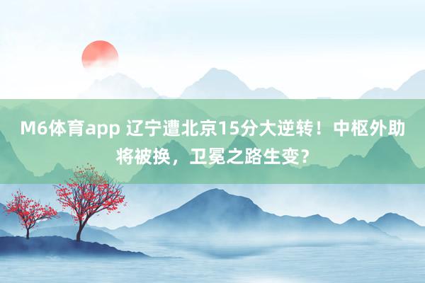 M6体育app 辽宁遭北京15分大逆转！中枢外助将被换，卫冕之路生变？