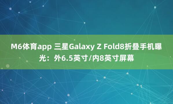 M6体育app 三星Galaxy Z Fold8折叠手机曝光：外6.5英寸/内8英寸屏幕