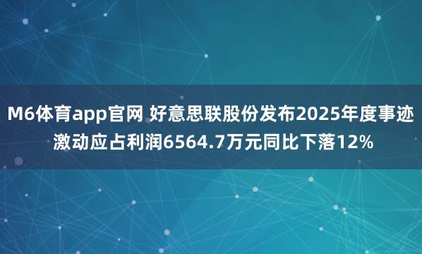 M6体育app官网 好意思联股份发布2025年度事迹 激动应占利润6564.7万元同比下落12%