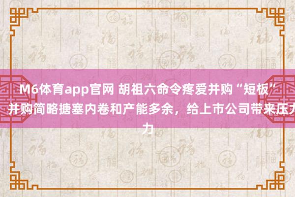 M6体育app官网 胡祖六命令疼爱并购“短板”：并购简略搪塞内卷和产能多余，给上市公司带来压力