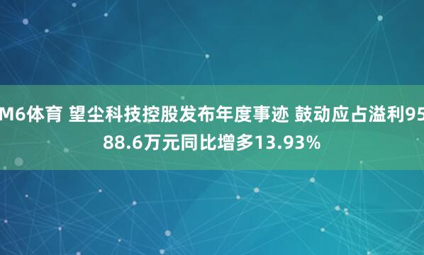 M6体育 望尘科技控股发布年度事迹 鼓动应占溢利9588.6万元同比增多13.93%