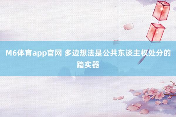 M6体育app官网 多边想法是公共东谈主权处分的踏实器