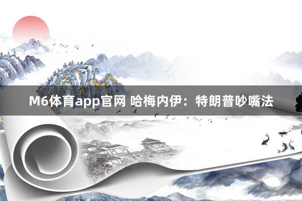 M6体育app官网 哈梅内伊：特朗普吵嘴法