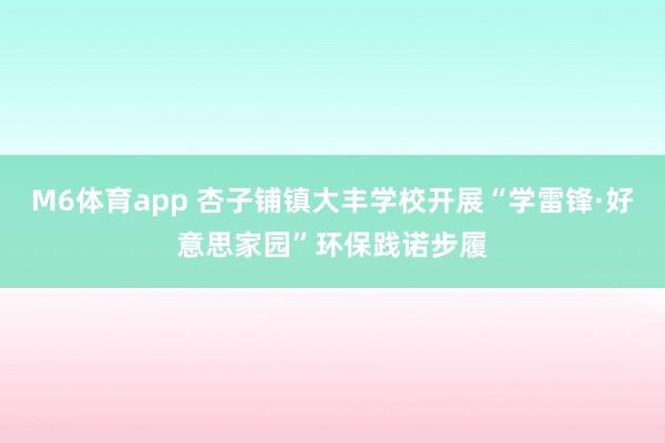 M6体育app 杏子铺镇大丰学校开展“学雷锋·好意思家园”环保践诺步履