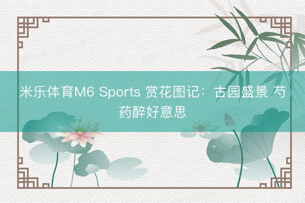 米乐体育M6 Sports 赏花图记:古园盛景 芍药醉好意思
