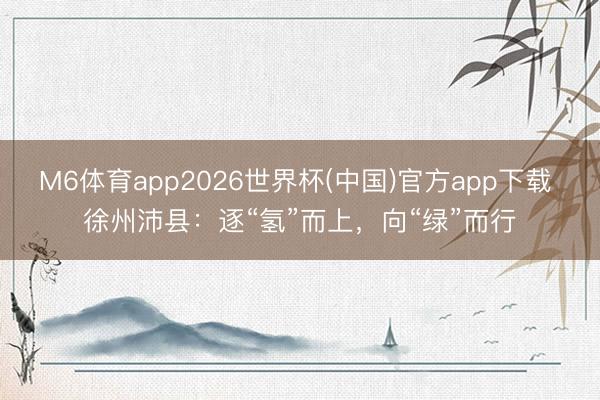 M6体育app2026世界杯(中国)官方app下载 徐州沛县：逐“氢”而上，向“绿”而行