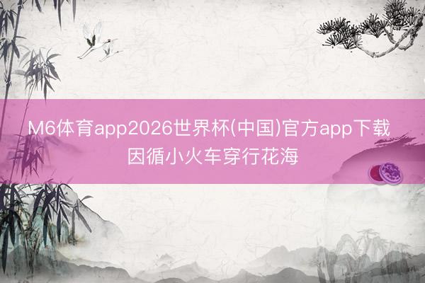 M6体育app2026世界杯(中国)官方app下载 因循小火车穿行花海