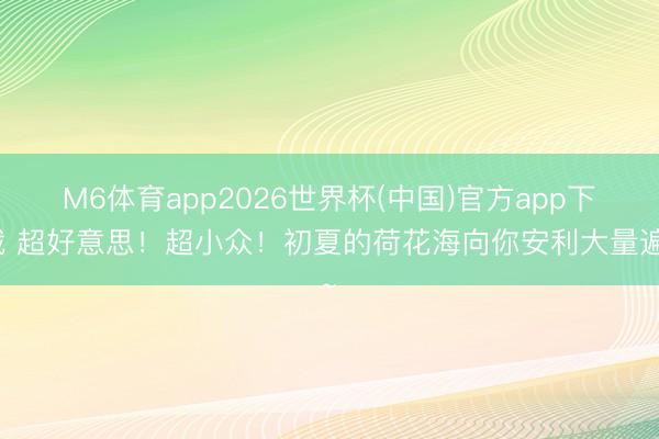 M6体育app2026世界杯(中国)官方app下载 超好意思！超小众！初夏的荷花海向你安利大量遍~
