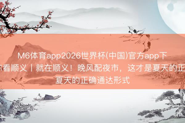 M6体育app2026世界杯(中国)官方app下载 团团带你看顺义丨就在顺义！晚风配夜市，这才是夏天的正确通达形式