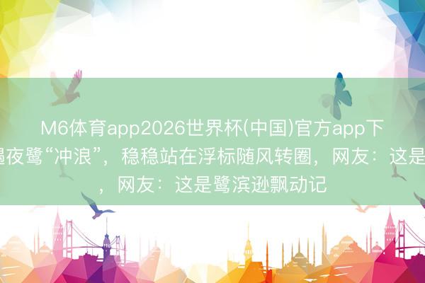 M6体育app2026世界杯(中国)官方app下载 公园里偶遇夜鹭“冲浪”，稳稳站在浮标随风转圈，网友：这是鹭滨逊飘动记
