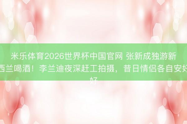 米乐体育2026世界杯中国官网 张新成独游新西兰喝酒！李兰迪夜深赶工拍摄，昔日情侣各自安好