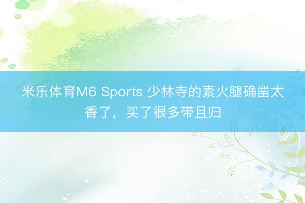 米乐体育M6 Sports 少林寺的素火腿确凿太香了，买了很多带且归