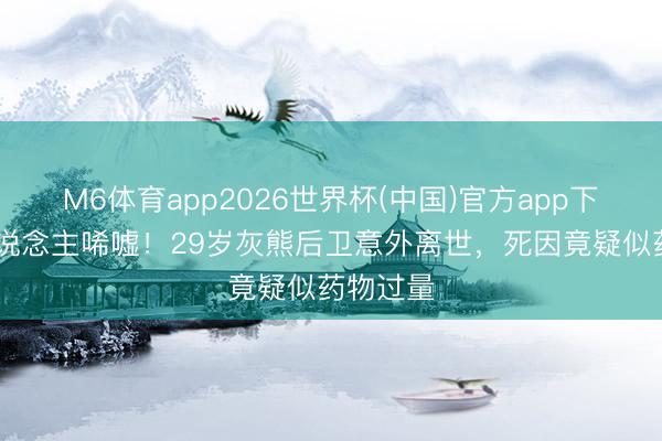M6体育app2026世界杯(中国)官方app下载 让东说念主唏嘘！29岁灰熊后卫意外离世，死因竟疑似药物过量