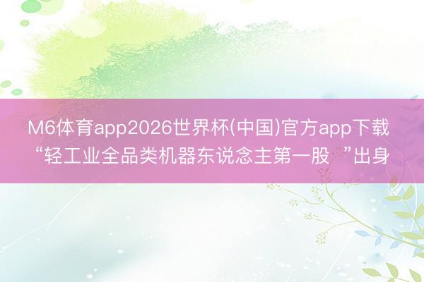 M6体育app2026世界杯(中国)官方app下载 “轻工业