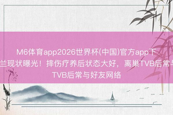 M6体育app2026世界杯(中国)官方app下载 91岁罗兰现状曝光！摔伤疗养后状态大好，离巢TVB后常与好友网络