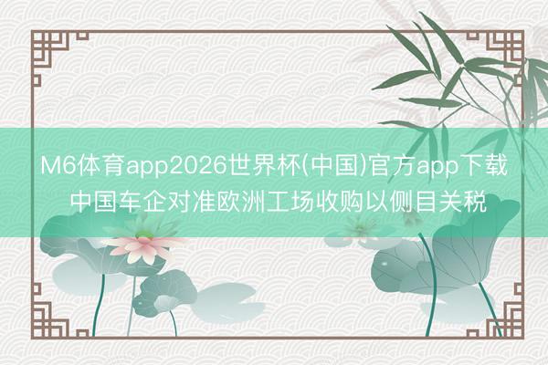 M6体育app2026世界杯(中国)官方app下载 中国车企对准欧洲工场收购以侧目关税